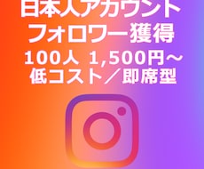 IG:日本人フォロワー獲得を支援します イメージ1