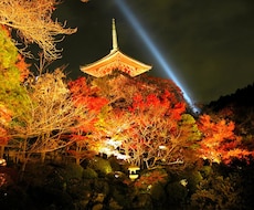 京都の神社仏閣の代理参拝いたします イメージ1