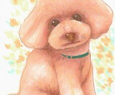 ペットの似顔絵をお描きします 記念やプレゼントにいかがですか