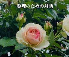 絡まった思考をほどき、視点のズレを整理します イメージ1