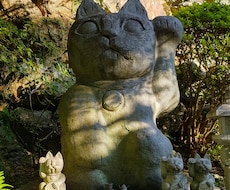 ペットリーディング☆ペットの気持ちをお伝えします リピーター様とご紹介者様のお部屋です