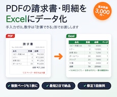 PDFの請求書・明細をExcelにデータ化します イメージ1