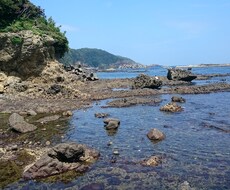 あなたの良き相談相手になります イメージ1