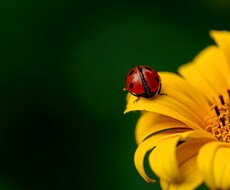 無料で承ります イメージ1