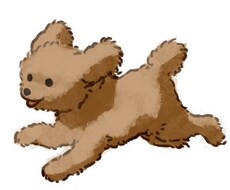可愛い動物イラストを作成します イメージ1