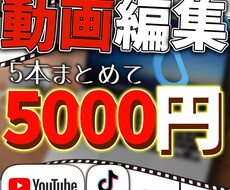 ５本まとめて5000円で動画制作します イメージ1