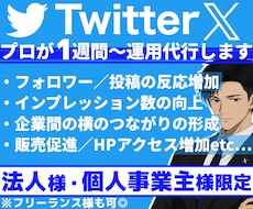 法人様・個人事業主様限定！Ｘを１週間～運用します イメージ1