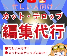 忙しい人向け！カット・テロップ編集代行します イメージ1