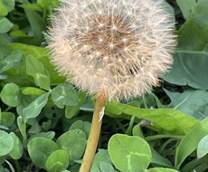 人間関係のお悩みを一緒に解決します イメージ1