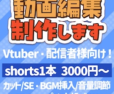 VTuber・配信者向け✨動画編集を制作します イメージ1