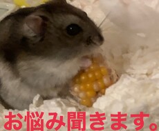 なんでもききます イメージ1