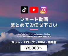 様々な雰囲気に合ったショート動画を作成します イメージ1