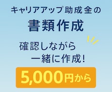 キャリアアップ助成金の書類作成行います 確認しながら一緒に作成！5,000円からの激安プラン！