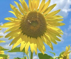 あなたの悩みをポジ変で解決ます イメージ1