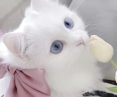 JKが沢山お話します イメージ1