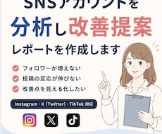 SNSアカウントを分析し改善提案します イメージ1