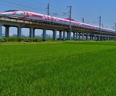 ワンコイン！感涙療法士です☆あなたを癒します
