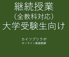 継続の方専用　60分授業ｘ月4回を行います イメージ1