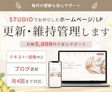 STUDIOの更新・維持管理を代行します イメージ1