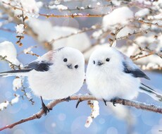 言葉にならないモヤモヤを感覚で整えます イメージ1