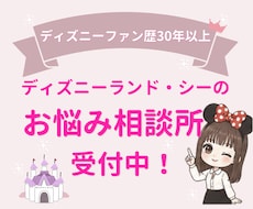 ディズニーランド・シーのお悩みを何でも受け付けます 初心者さんでも安心！小さな疑問を丁寧にお聞きして解決します