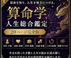 20ページで人生を徹底鑑定します イメージ1