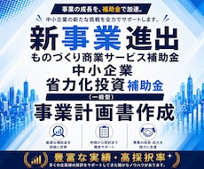 補助金で新事業へ挑戦！事業を成長に導きます イメージ1