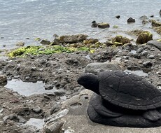 悩み事やご相談をおききします イメージ1
