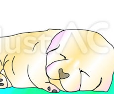 些細な悩みでもしっかり傾聴致します イメージ1
