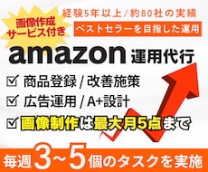 Amazon運用代行すべてお任せOK！運用します 実績80社以上/経験5年/画像制作付き！週次報告もあり！