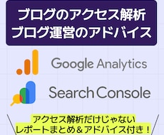 ブログのアクセス解析レポート作成とアドバイスします ブログ初心者の方・アクセス解析これからの方へ