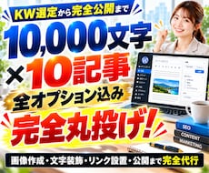 フル装備のSEO記事作成！10記事を完全入稿します イメージ1