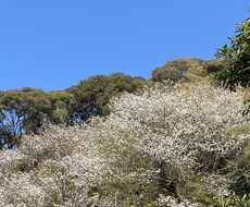 １週間回数無制限でサービスを提供します イメージ1