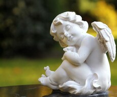 オラクルカードで貴方の背中を押すメッセージ届けます 前に進みたい方、変わりたいのに勇気がでない方へ
