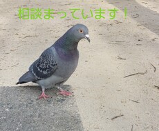 高校生という立場から子供の気持ち教えます イメージ1