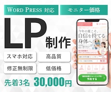 先着３名様！30,000円でLPつくります イメージ1