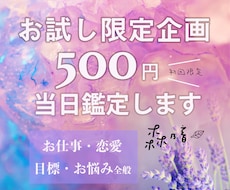 初回限定☆500円でお悩み２つ解決します 【お試し企画】転職/才能開花/人間関係/恋愛悩み☆24h以内