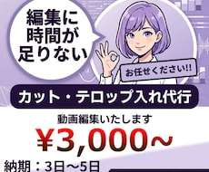 YouTube動画編集カット＋フルテロップ等します 現役YouTuberが代行！運営者の「時間が足りない」を解消