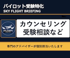 パイロット受験カウンセリング: 対策をご提案します イメージ1