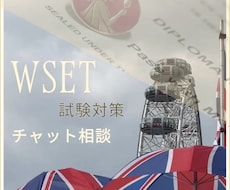 チャット形式　WSET合格に向けてサポート致します イメージ1