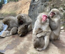 あなたを笑顔にしてあなたの人生をプラスに変えます イメージ1
