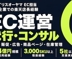 元アイリスEC担当がEC運営代行・コンサルします イメージ1