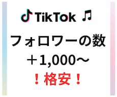 TikTokフォロワー数1,000～増やします SNSのプロがTikTokのフォロワー数増を支援します！