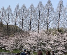 育児の悩み・愚痴・相談聞きます イメージ1