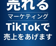 SNSマーケティングに困っている方に届けます イメージ1
