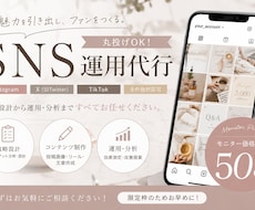 モニター価格で、SNS運用代行します イメージ1