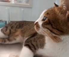 1分からでも♡話し相手になります イメージ1