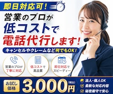 即日対応可！営業のプロが低コストに電話代行します イメージ1