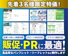 先着限定特価！パンフレット・リーフレット制作します イメージ1