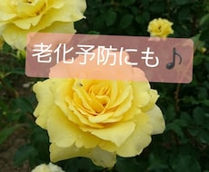 老化防止にも年配のお父さんお母さんとお話しします イメージ1